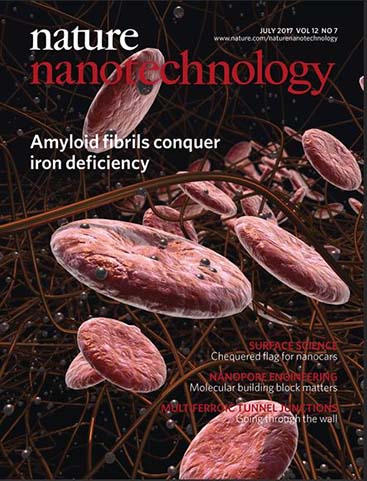 Enlarged view: Nature Nanotechnology - July 2017