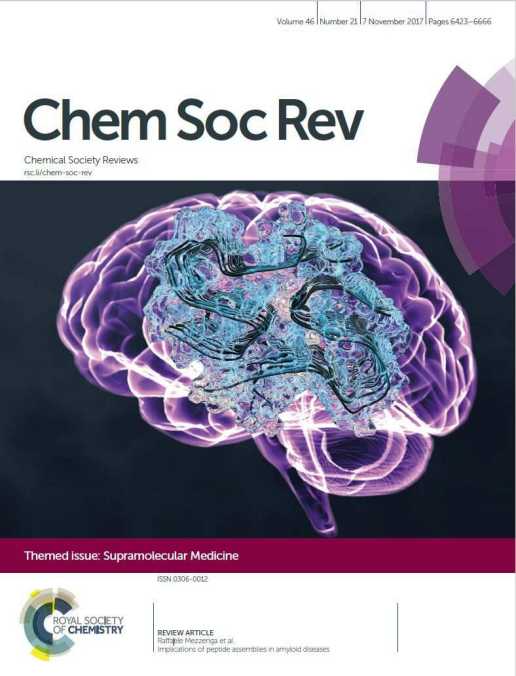Enlarged view: Chemical Society Reviews - Nov. 2017