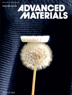 Enlarged view: Advanced Materials - Mar. 2020