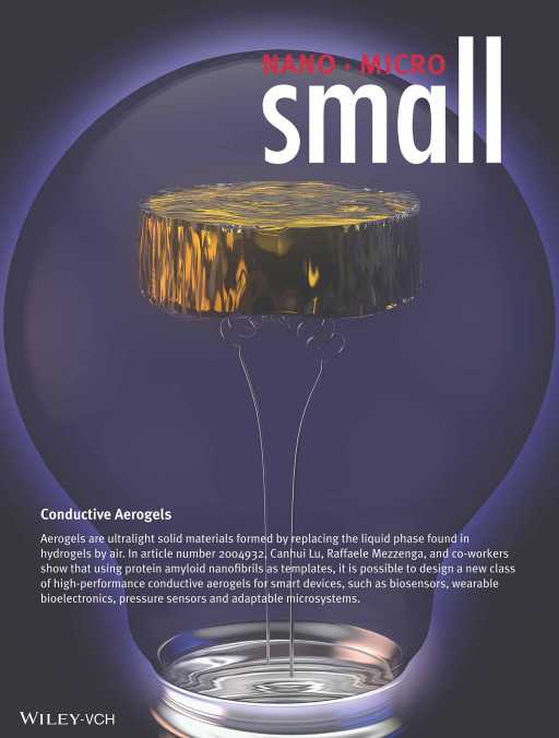 Enlarged view: Small Nano Micro - Nov. 2020