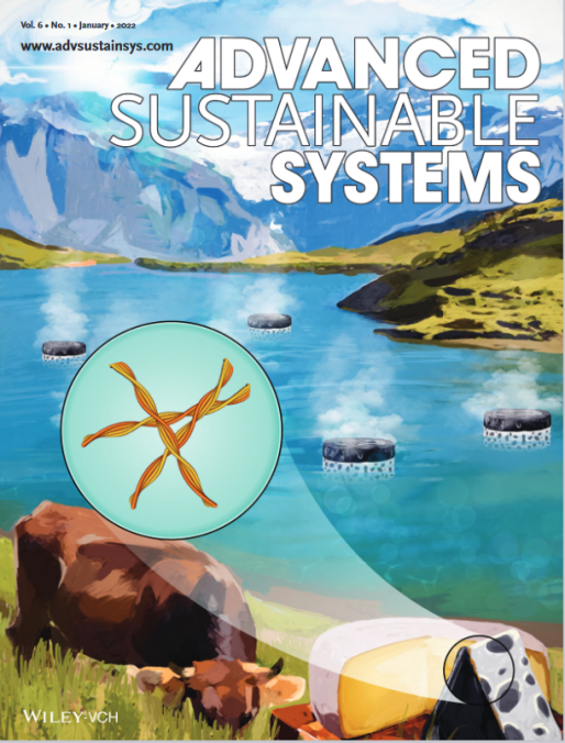 Enlarged view: Advanced Sustainable Systems - Jan. 2022
