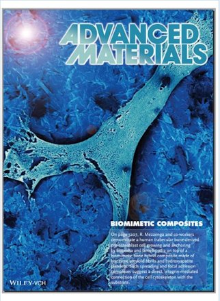 Enlarged view: Advanced Materials - May. 2014